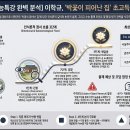 [AI 문학해설] 이학규, 박꽃이 피어난 집 이미지