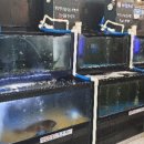 태현수산 이미지