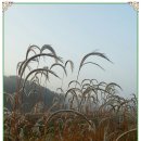옥구초등학교 이미지