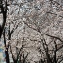 북부천