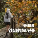 한라산 선작지왓 | 윗세오름 영실코스 한라산 단풍 11월 옷차림 날씨