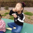 꼬망베르