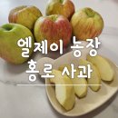 사과향기 | 엘제이농장 홍로사과 햇사과 후기