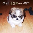 알콩달콩 이미지