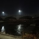 금현농장 이미지