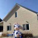 평강목장 | 포천 목장카페 사르르목장 카이막 아이스크림 맛집