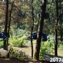 진 농장 이미지