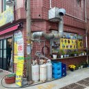 수복식당 | 울릉도 서면 태양식당 따개비칼국수,따개비죽 도동 마루통닭포장