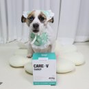 강서하이동물병원 이미지