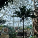 아쿠아가든팜카페 | 인스파이어호텔｜호캉스후기｜망고부페｜가든팜｜호텔조식｜스플래시베이｜포레스트타워