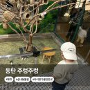 말랑놀이터동탄 | 동탄 주렁주렁 할인 주차 라크몽 실내동물원