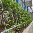 검단출장소 이미지