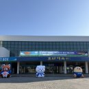 올스타전 | 종목은 달라도 직관은 최고였다 | 25–26 배구 올스타전 후기