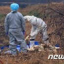 충남위생방역