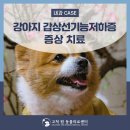 고척원동물의료센터 이미지