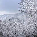 [ 제주 ] 한라산 관음사 코스 이미지