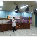 풍호초등학교 이미지