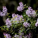 오리떼 편의점 이미지