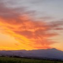 제주무릉도원집 이미지