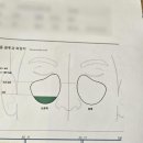 유성한의원 네이버블로그