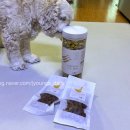 수원-0623 이미지