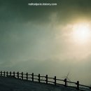 순진목장 이미지