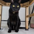 판지 1길 R | 내 방학 도도독