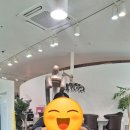 로이드밤 안양 호계점