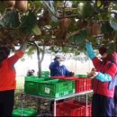 제일그린 이미지