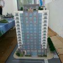 카디인터내셔널 이미지