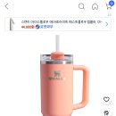 쿠팡 스탠리 887ml, 멜론색 37,580원(하나카드결제시) 이미지