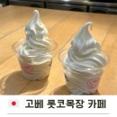 가나목장 | 고베 카페 모자이크 롯코 목장 카페 우유 아이스크림 Rokko Farm