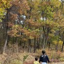세종동_전월산 무궁화 테마공원 이미지