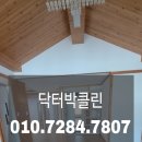 닥터박클린 이미지