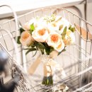 고원웨딩홀 이미지