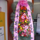 명구 Daum카페