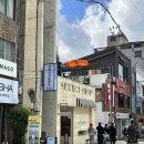 댕댕이묭실 이미지