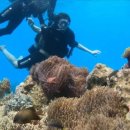 여행하기 좋은 날 이미지