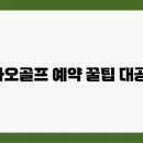 카카오골프 이미지