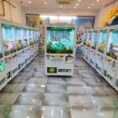 인형뽑기 이미지