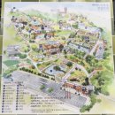 세종파크 | 세종 베어트리파크 블리스가든 방문 야외웨딩 상담 후기