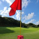 그린서비스 이미지