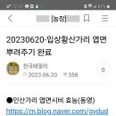 수완농장 이미지