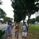 2016년 7월 2일 토요일 싱가폴 자유여행 둘째날 이미지