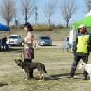 자연미인 이미지