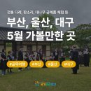 도동문화마을협동조합 | 부산,울산,대구 5월 가볼 만한 곳┃캠핑, 전통 다례, 고추장 만들기, 판소리, 대나무 공예품 체험 등