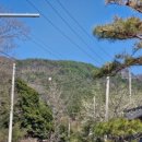 강진미술관 이미지