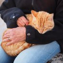 고양이라서 행복해 이미지