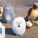 마이펫의 이중생활 이미지