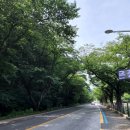 형주네 바다이야기 이미지